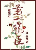 重生之第一侫臣