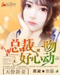 天价总裁的新妻免费阅读全文