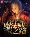 不正经的魔法师第一季无修改