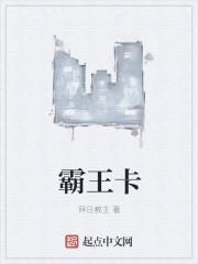 霸王卡多少钱一个月