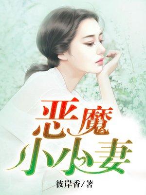 恶魔总裁小小妻