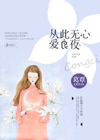 从此无心爱良夜是啥意思