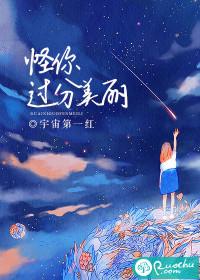怪你过分美丽免费完整
