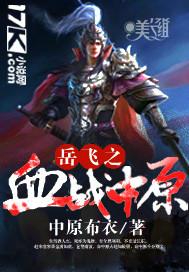 岳飞大战视频