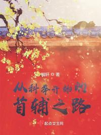 从科举开始的首辅之路讲的是什么