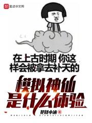 模拟神仙是什么体验类型