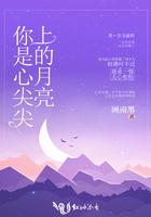你是心尖尖上的月亮免费阅读
