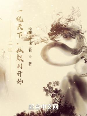 三国之一统天下 水夜