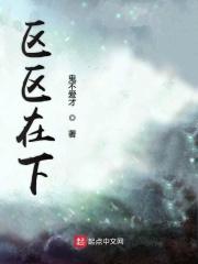 区区用意在方人是什么意思