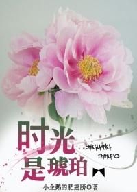 时光是琥珀出自哪首歌