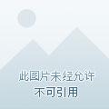 @628sssh病娇影帝太撩人