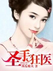 圣手狂医完整版一口气看完
