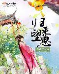 归来望思苍栮TXT免费