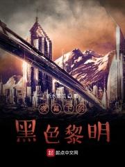 夜幕下的黑色幽灵播放