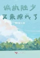 偏执陆少心尖宠夜晴