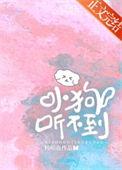 小狗听不到 作者杨明夜