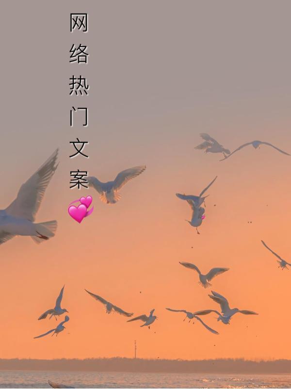 网上最近很火的文案