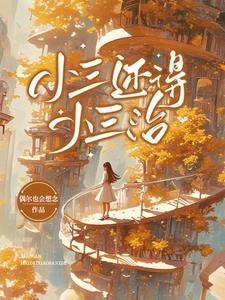 小三能有好下场吗