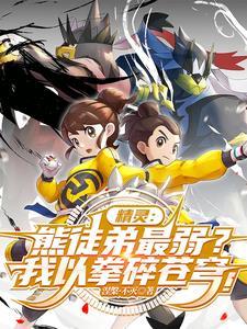武道熊师对战