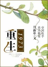 重生1973我的知青之路
