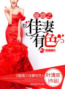 暖婚爱妻免费阅读