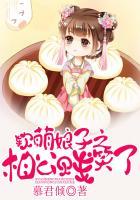 软萌娘子之相公贱笑了 慕君倾